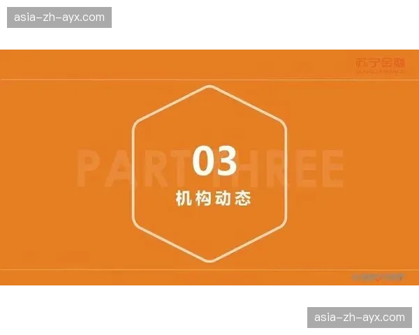 数据分析层不仅支持战术复盘更赋能实时解说内容生成